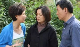 电视剧婆媳,爱与矛盾的交织