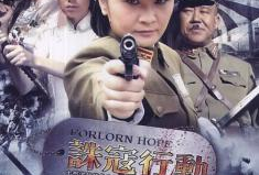 诛寇行动 电视剧