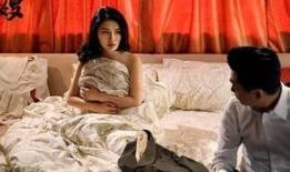 电视剧大嫂,乱世中的女性传奇，爱与复仇交织的悲歌