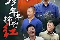 岁岁年年柿柿红电视剧全集,岁月流转的温情岁月