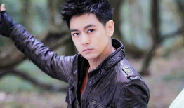 林志颖的电视剧,从青春偶像到成熟演员的蜕变之旅