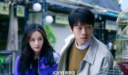 爱奇艺好看的电视剧,精彩纷呈，剧情引人入胜